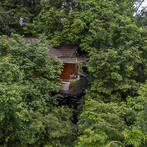 Crystal Kuruva Nature Resort & Spa